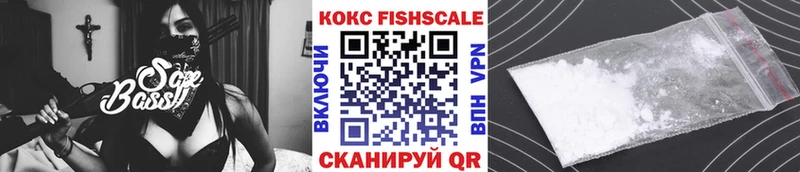 даркнет сайт  Светлогорск  COCAIN Эквадор 