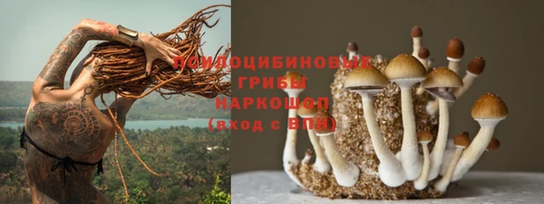 прущая мука Белокуриха