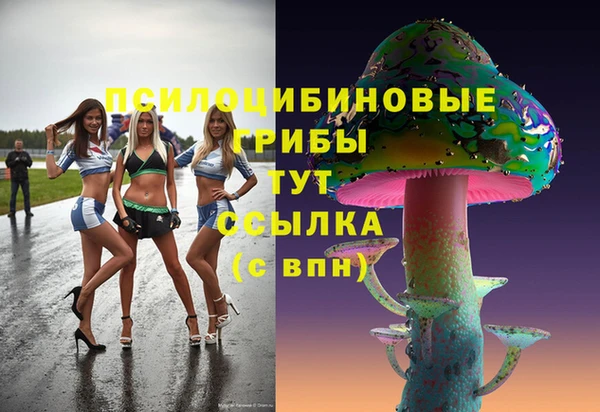 амф Беломорск