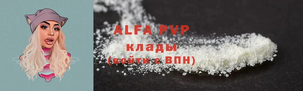 амф Беломорск