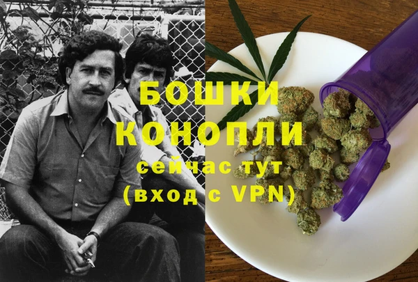 прущая мука Белокуриха
